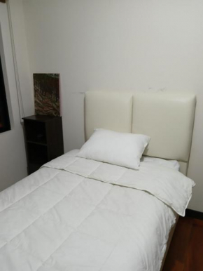 Sunny Apartment in the heart of Sopocachi